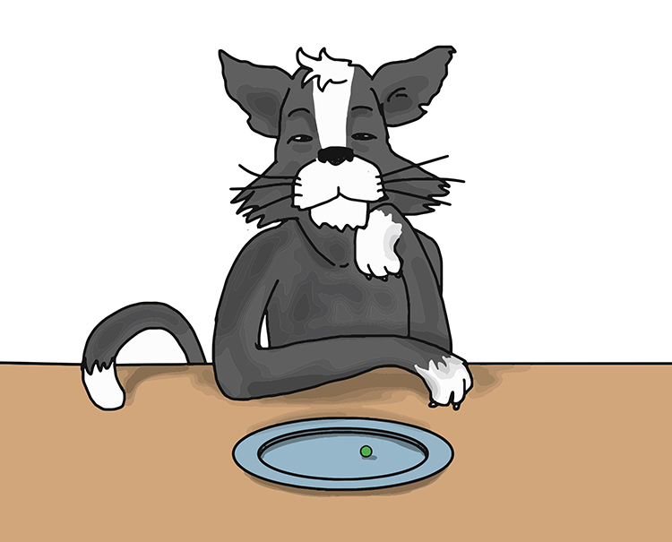 Atomic number tells you how many protons are contained in an atom, the number of protons is always the same as electrons so the number tells you both